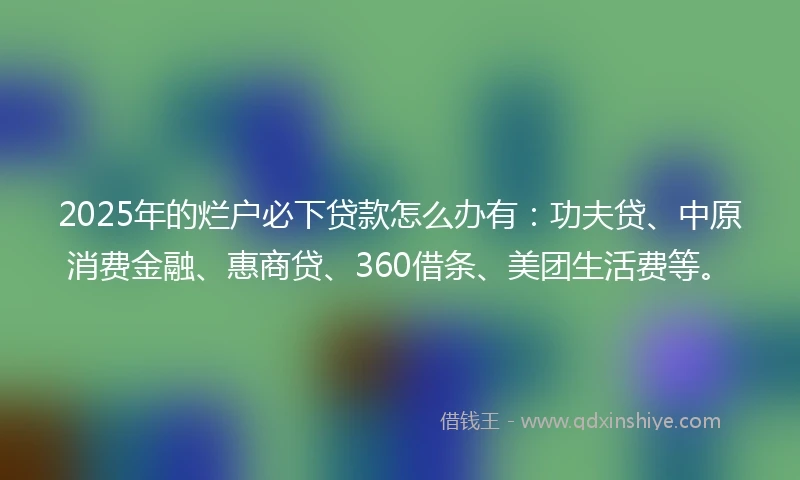 2025年的烂户必下贷款怎么办有：功夫贷、中原消费金融、惠商贷、360借条、美团生活费等。