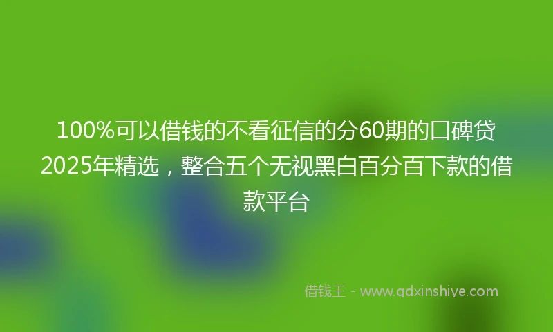 100%可以借钱的不看征信的分60期的口碑贷2025年精选，整合五个无视黑白百分百下款的借款平台
