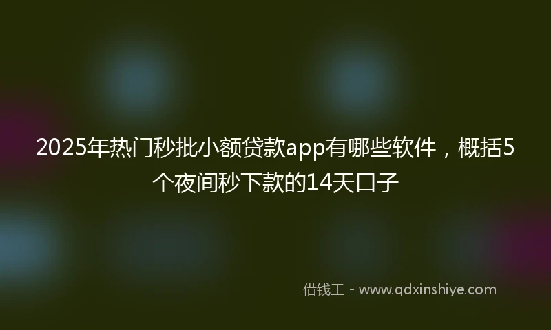 2025年热门秒批小额贷款app有哪些软件，概括5个夜间秒下款的14天口子