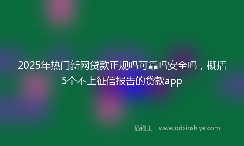 2025年热门新网贷款正规吗可靠吗安全吗，概括5个不上征信报告的贷款app