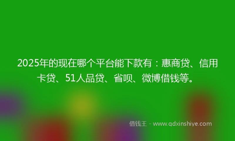 2025年的现在哪个平台能下款有：惠商贷、信用卡贷、51人品贷、省呗、微博借钱等。