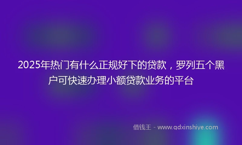 2025年热门有什么正规好下的贷款，罗列五个黑户可快速办理小额贷款业务的平台