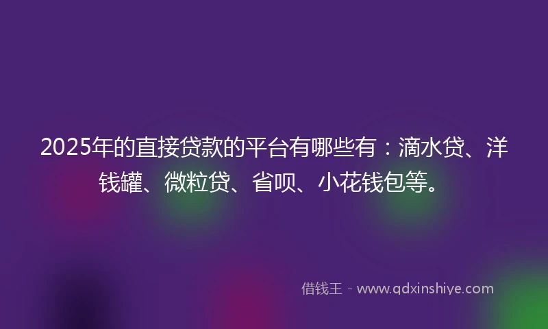 2025年的直接贷款的平台有哪些有：滴水贷、洋钱罐、微粒贷、省呗、小花钱包等。