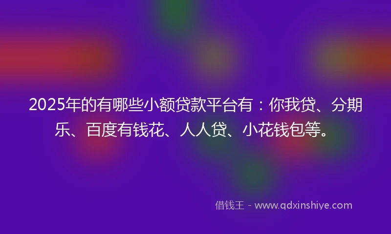 2025年的有哪些小额贷款平台有：你我贷、分期乐、百度有钱花、人人贷、小花钱包等。