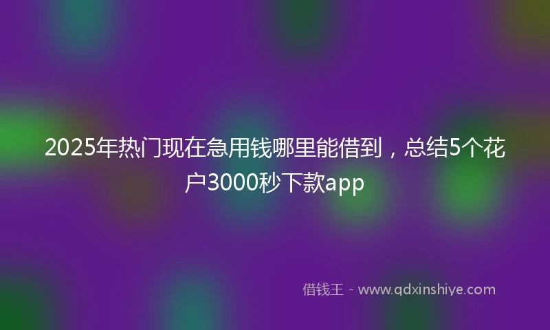 2025年热门现在急用钱哪里能借到，总结5个花户3000秒下款app