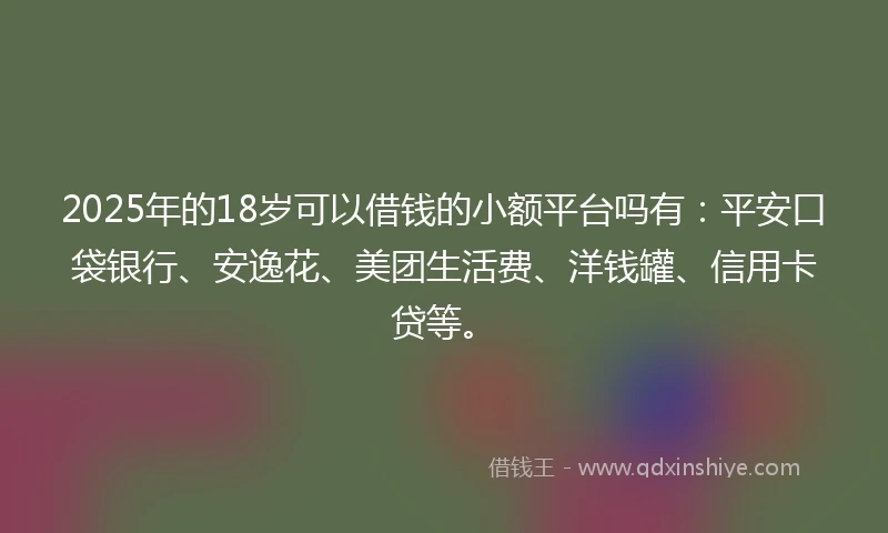 2025年的18岁可以借钱的小额平台吗有：平安口袋银行、安逸花、美团生活费、洋钱罐、信用卡贷等。