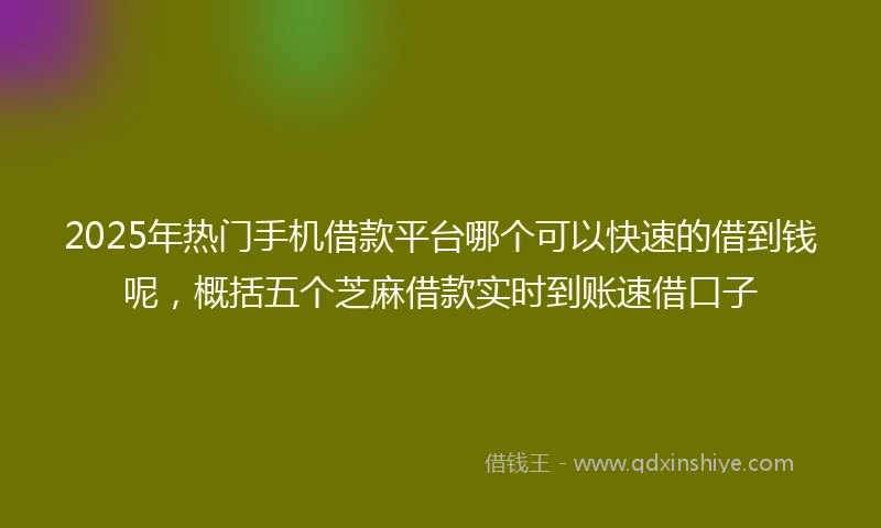 2025年热门手机借款平台哪个可以快速的借到钱呢，概括五个芝麻借款实时到账速借口子