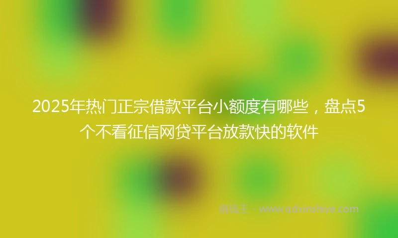 2025年热门正宗借款平台小额度有哪些，盘点5个不看征信网贷平台放款快的软件