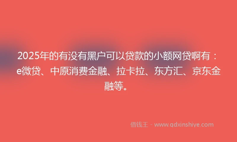 2025年的有没有黑户可以贷款的小额网贷啊有：e微贷、中原消费金融、拉卡拉、东方汇、京东金融等。