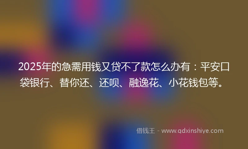 2025年的急需用钱又贷不了款怎么办有：平安口袋银行、替你还、还呗、融逸花、小花钱包等。