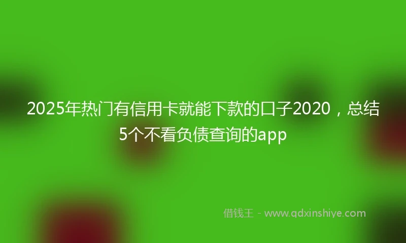 2025年热门有信用卡就能下款的口子2020，总结5个不看负债查询的app