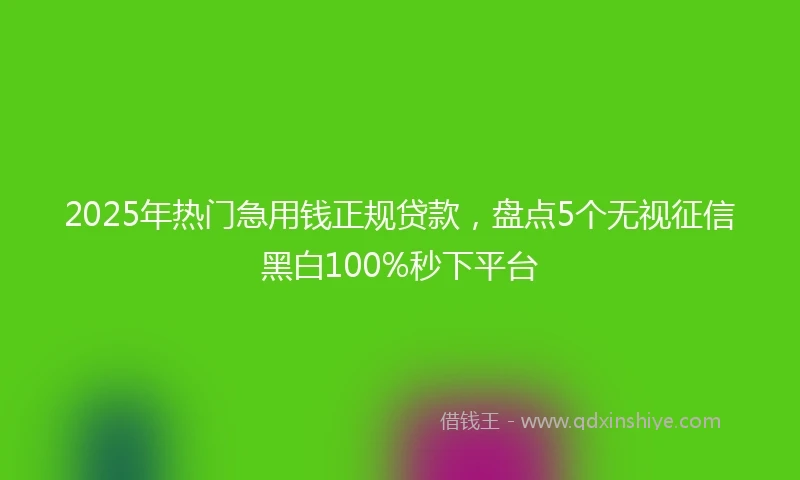 2025年热门急用钱正规贷款，盘点5个无视征信黑白100%秒下平台