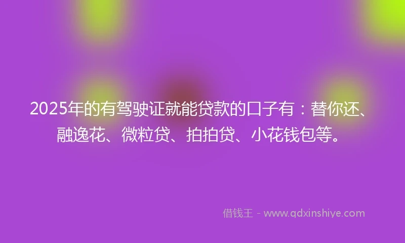 2025年的有驾驶证就能贷款的口子有：替你还、融逸花、微粒贷、拍拍贷、小花钱包等。