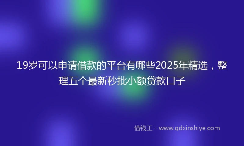 19岁可以申请借款的平台有哪些2025年精选，整理五个最新秒批小额贷款口子