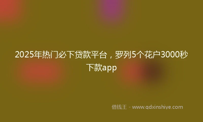 2025年热门必下贷款平台，罗列5个花户3000秒下款app