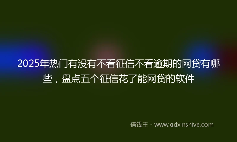 2025年热门有没有不看征信不看逾期的网贷有哪些，盘点五个征信花了能网贷的软件