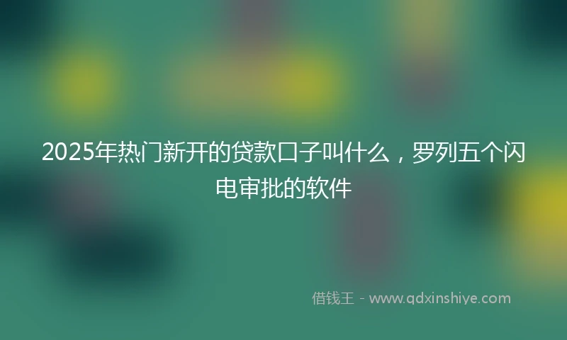 2025年热门新开的贷款口子叫什么，罗列五个闪电审批的软件