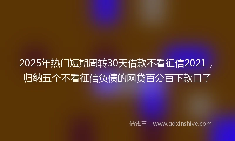 2025年热门短期周转30天借款不看征信2021，归纳五个不看征信负债的网贷百分百下款口子