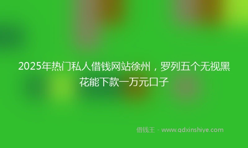 2025年热门私人借钱网站徐州，罗列五个无视黑花能下款一万元口子