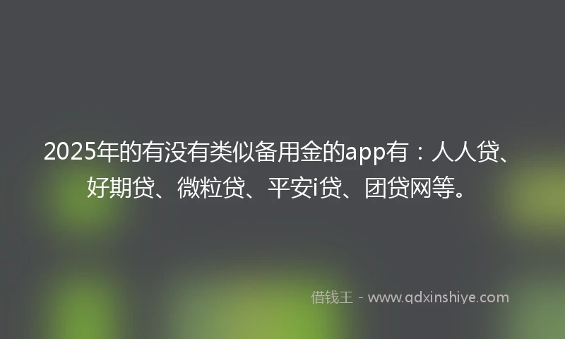 2025年的有没有类似备用金的app有：人人贷、好期贷、微粒贷、平安i贷、团贷网等。