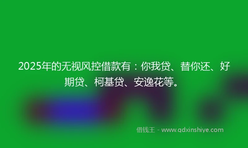 2025年的无视风控借款有：你我贷、替你还、好期贷、柯基贷、安逸花等。