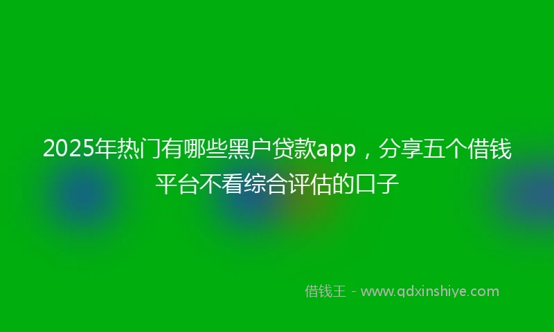 2025年热门有哪些黑户贷款app，分享五个借钱平台不看综合评估的口子