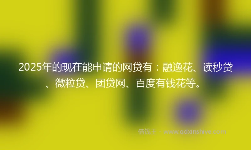 2025年的现在能申请的网贷有：融逸花、读秒贷、微粒贷、团贷网、百度有钱花等。