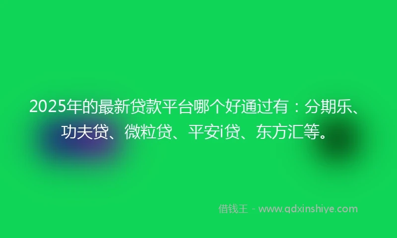 2025年的最新贷款平台哪个好通过有：分期乐、功夫贷、微粒贷、平安i贷、东方汇等。