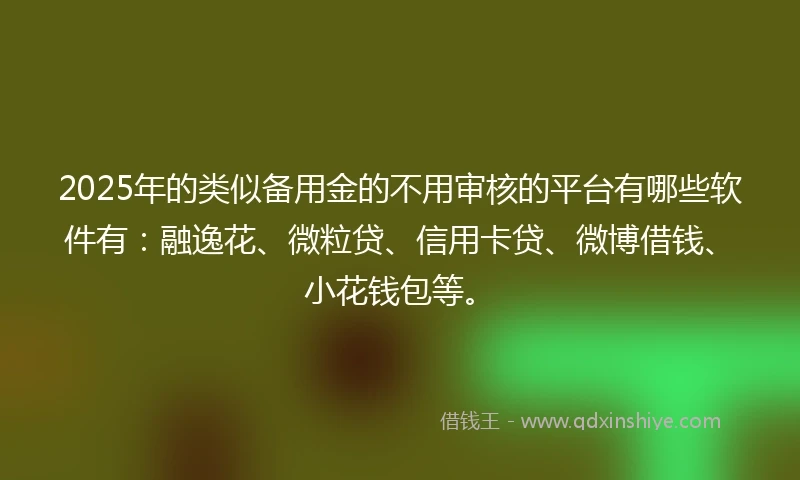 2025年的类似备用金的不用审核的平台有哪些软件有：融逸花、微粒贷、信用卡贷、微博借钱、小花钱包等。
