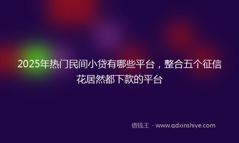 2025年热门民间小贷有哪些平台，整合五个征信花居然都下款的平台