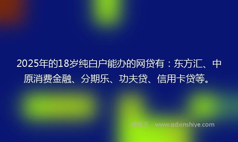 2025年的18岁纯白户能办的网贷有：东方汇、中原消费金融、分期乐、功夫贷、信用卡贷等。