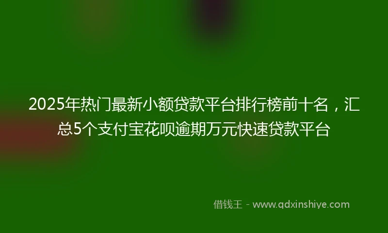2025年热门最新小额贷款平台排行榜前十名，汇总5个支付宝花呗逾期万元快速贷款平台