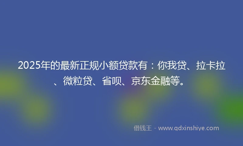 2025年的最新正规小额贷款有：你我贷、拉卡拉、微粒贷、省呗、京东金融等。