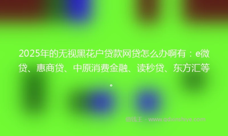 2025年的无视黑花户贷款网贷怎么办啊有：e微贷、惠商贷、中原消费金融、读秒贷、东方汇等。