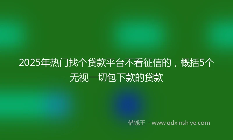2025年热门找个贷款平台不看征信的，概括5个无视一切包下款的贷款