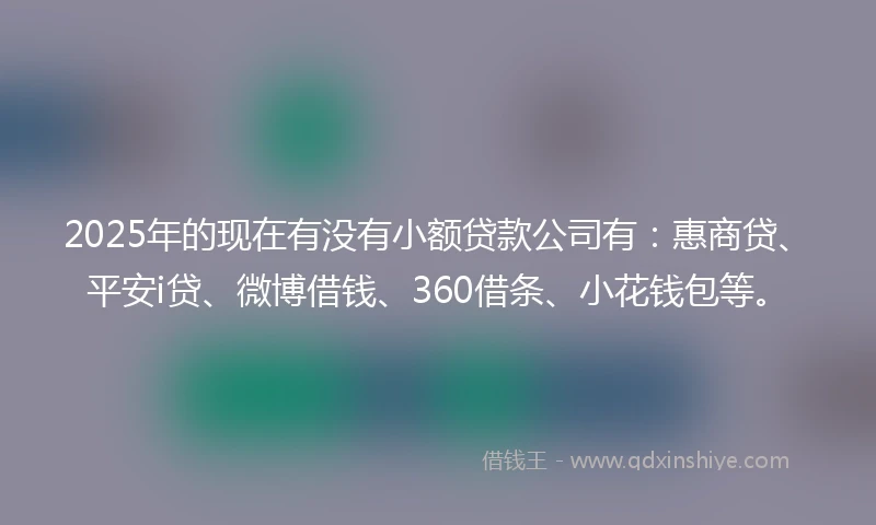 2025年的现在有没有小额贷款公司有：惠商贷、平安i贷、微博借钱、360借条、小花钱包等。