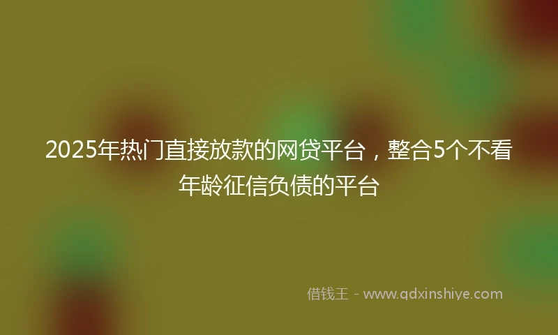 2025年热门直接放款的网贷平台，整合5个不看年龄征信负债的平台
