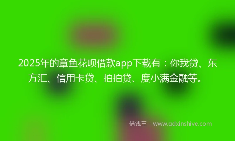 2025年的章鱼花呗借款app下载有：你我贷、东方汇、信用卡贷、拍拍贷、度小满金融等。