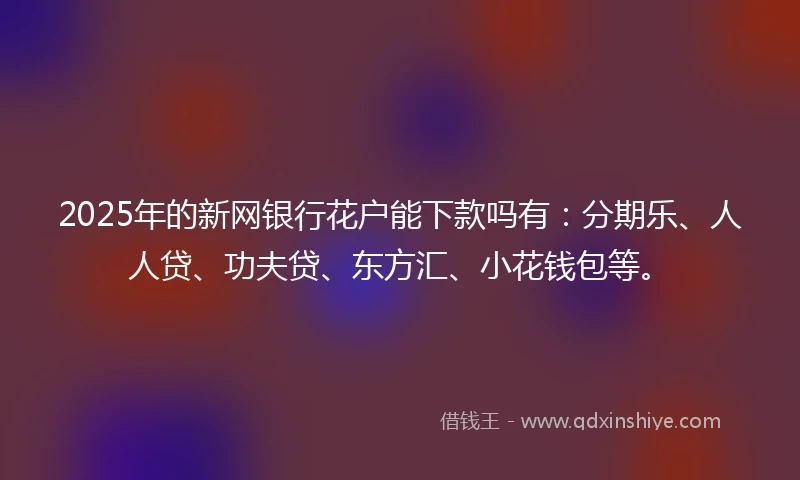 2025年的新网银行花户能下款吗有：分期乐、人人贷、功夫贷、东方汇、小花钱包等。