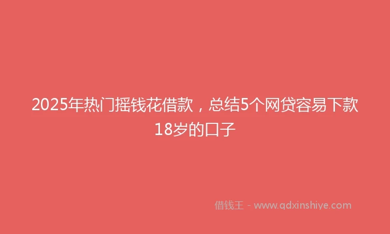 2025年热门摇钱花借款，总结5个网贷容易下款18岁的口子