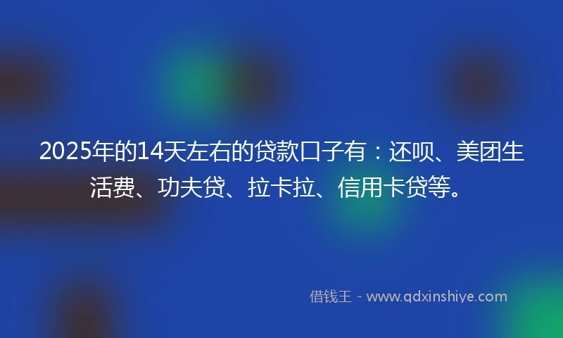 2025年的14天左右的贷款口子有：还呗、美团生活费、功夫贷、拉卡拉、信用卡贷等。