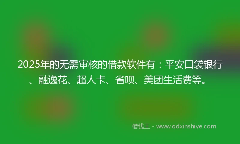 2025年的无需审核的借款软件有：平安口袋银行、融逸花、超人卡、省呗、美团生活费等。