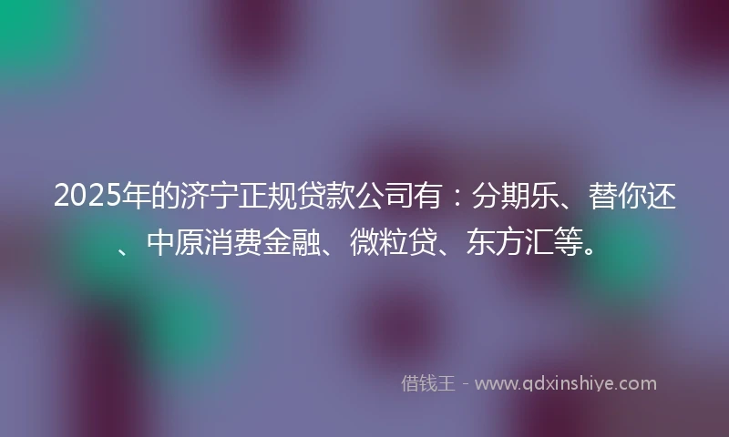 2025年的济宁正规贷款公司有：分期乐、替你还、中原消费金融、微粒贷、东方汇等。