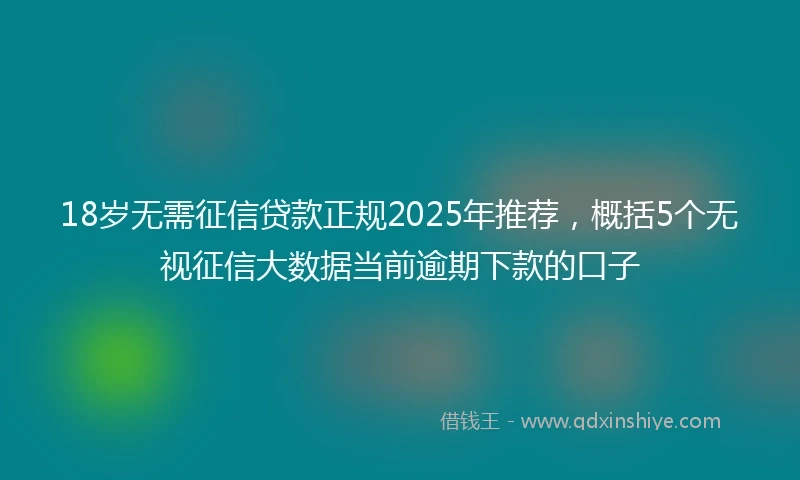 18岁无需征信贷款正规2025年推荐，概括5个无视征信大数据当前逾期下款的口子