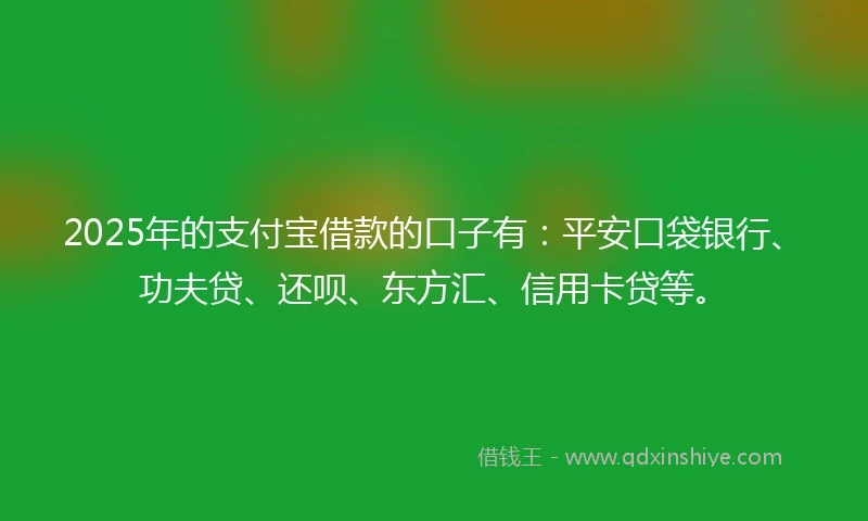 2025年的支付宝借款的口子有：平安口袋银行、功夫贷、还呗、东方汇、信用卡贷等。