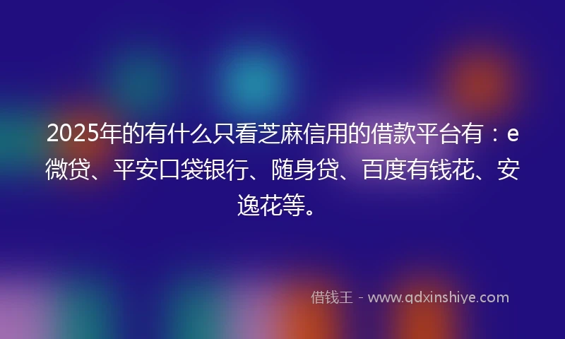 2025年的有什么只看芝麻信用的借款平台有：e微贷、平安口袋银行、随身贷、百度有钱花、安逸花等。