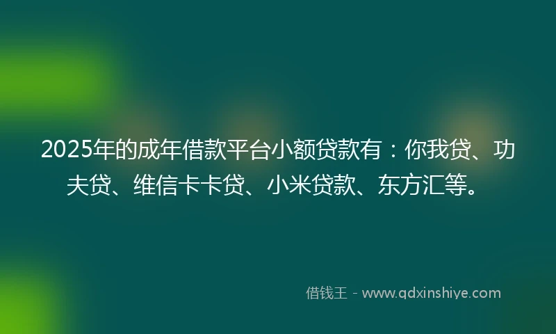 2025年的成年借款平台小额贷款有：你我贷、功夫贷、维信卡卡贷、小米贷款、东方汇等。