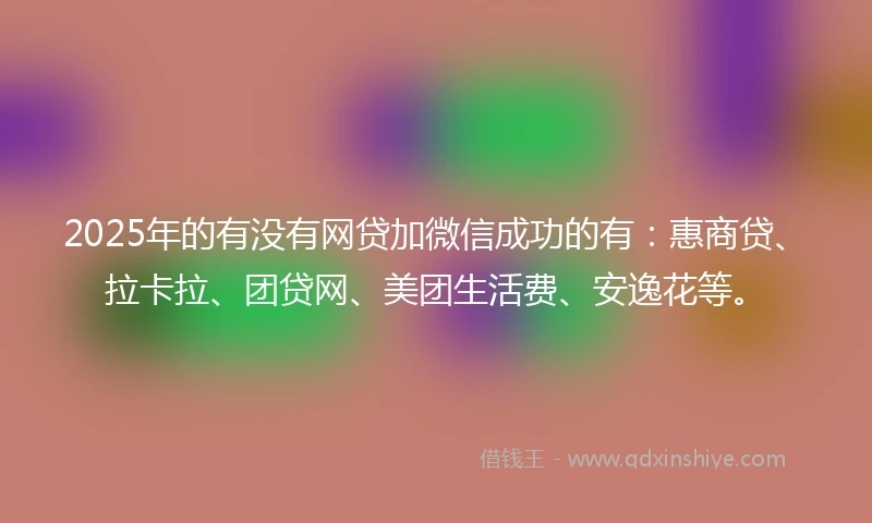 2025年的有没有网贷加微信成功的有：惠商贷、拉卡拉、团贷网、美团生活费、安逸花等。