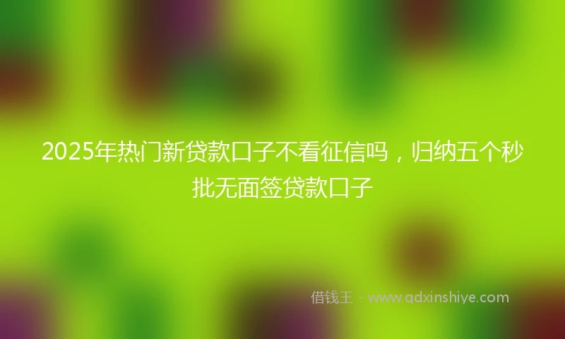 2025年热门新贷款口子不看征信吗，归纳五个秒批无面签贷款口子