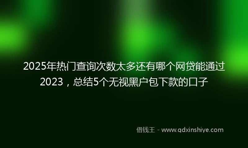 2025年热门查询次数太多还有哪个网贷能通过2023，总结5个无视黑户包下款的口子